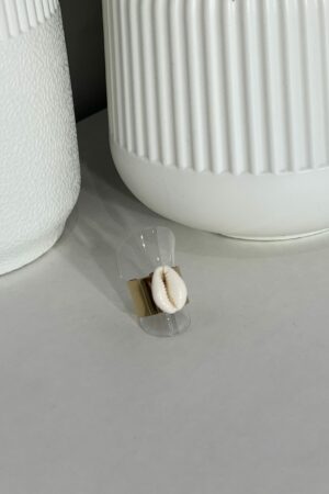 Anillo CONCHA: imagen 2