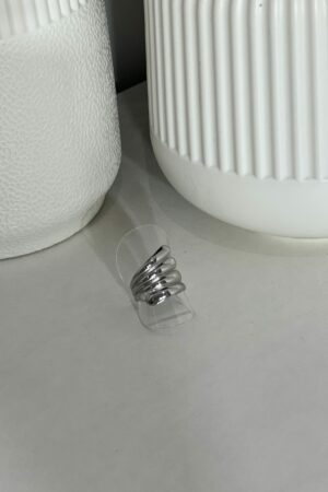 Anillo MAREA: imagen 2